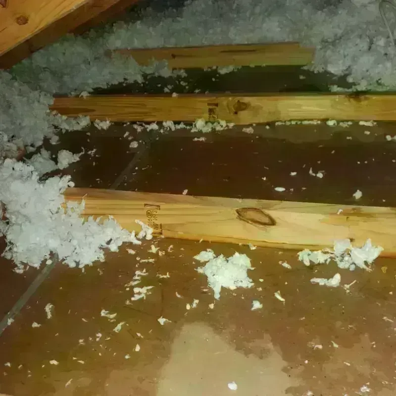 Attic Water Damage in Gatesville, TX